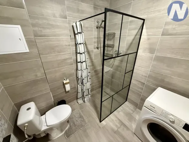 Pronájem bytu 1+kk, Lenora - Houžná, 40 m2