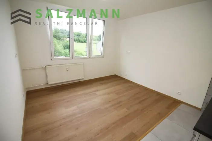 Pronájem bytu 1+kk, Dolní Bělá, 2 m2