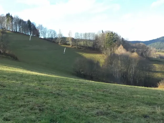 Dražba louky, Seninka, 13881 m2