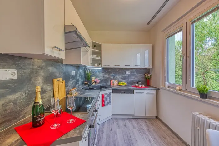Pronájem bytu 2+1, Chomutov, Blatenská, 52 m2