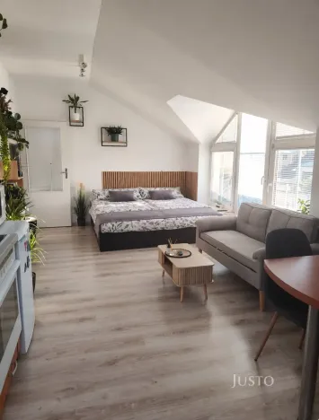 Prodej bytu 1+kk, Písek - Václavské Předměstí, Hostivítova, 35 m2