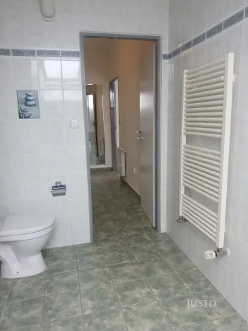 Prodej bytu 1+kk, Písek - Václavské Předměstí, Hostivítova, 35 m2