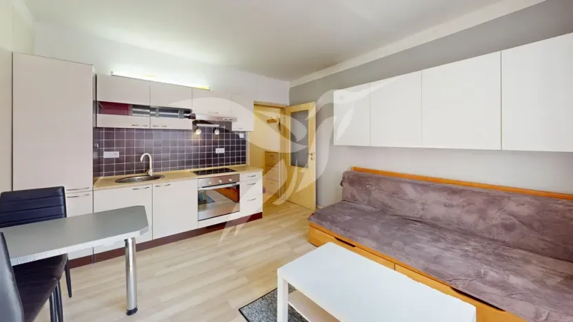 Pronájem bytu 1+kk, Plzeň, náměstí Generála Píky, 25 m2
