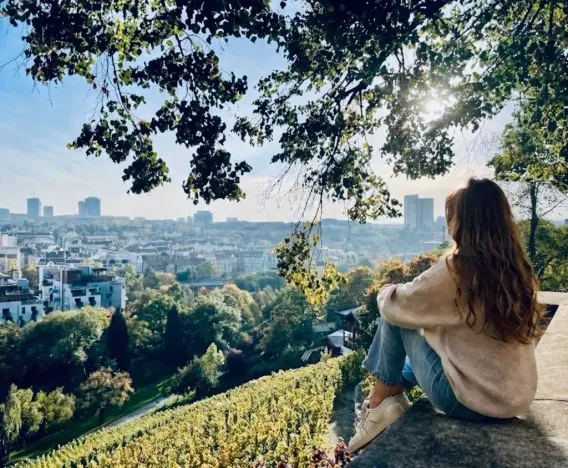 Prodej bytu 1+kk, Praha, 24 m2