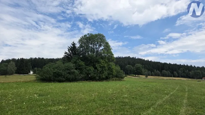 Prodej pozemku pro bydlení, Nová Pec, 2165 m2