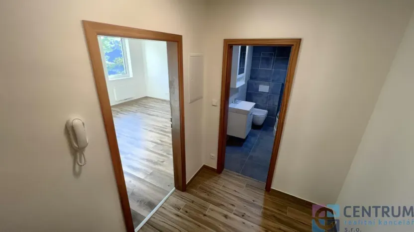 Pronájem bytu 1+kk, Rychnov u Jablonce nad Nisou, Mlýnská, 38 m2
