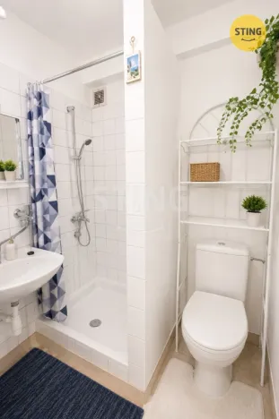 Prodej bytu 1+1, Ostrava, Čujkovova, 28 m2