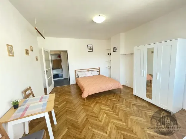 Pronájem bytu 1+1, Praha - Karlín, Sokolovská, 29 m2