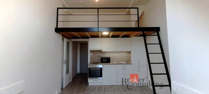Pronájem bytu 1+kk, Ostrava - Přívoz, Palackého, 26 m2