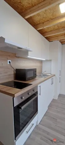 Pronájem bytu 1+kk, Ostrava - Přívoz, Palackého, 26 m2