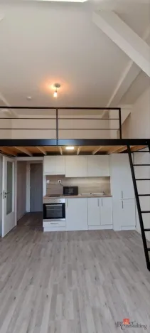 Pronájem bytu 1+kk, Ostrava - Přívoz, Palackého, 26 m2