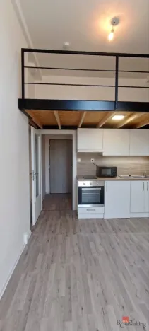 Pronájem bytu 1+kk, Ostrava - Přívoz, Palackého, 26 m2