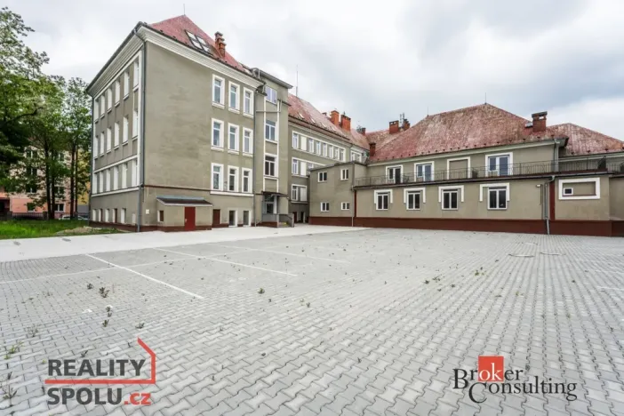 Pronájem bytu 1+kk, Ostrava - Přívoz, Palackého, 26 m2
