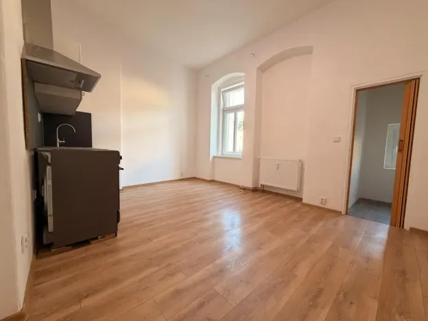 Pronájem bytu 1+kk, Ústí nad Labem - Ústí nad Labem-centrum, Moskevská, 30 m2