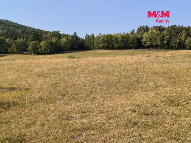 Prodej louky, Hoslovice, 2004 m2