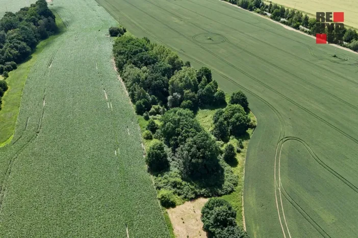 Prodej lesa, Hrádek nad Nisou - Oldřichov na Hranicích, 15525 m2