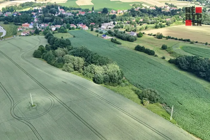 Prodej lesa, Hrádek nad Nisou - Oldřichov na Hranicích, 15525 m2