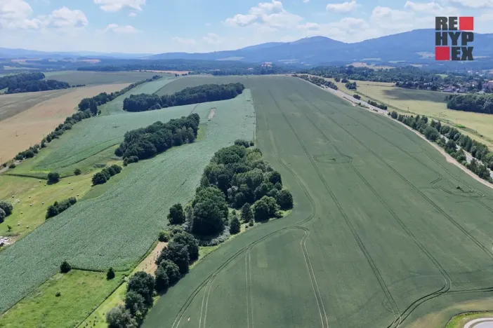 Prodej lesa, Hrádek nad Nisou - Oldřichov na Hranicích, 15525 m2