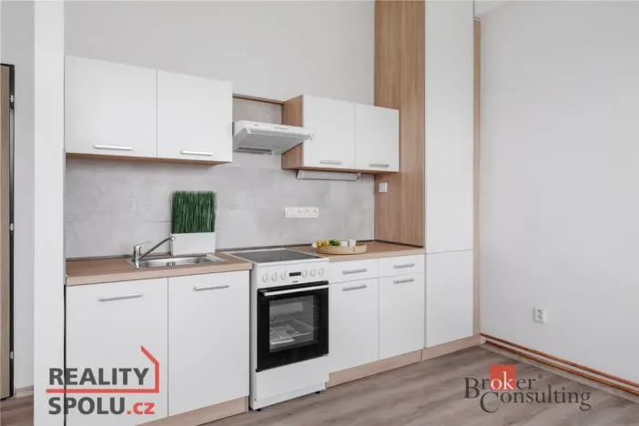 Pronájem bytu 2+kk, Mlékojedy, 57 m2