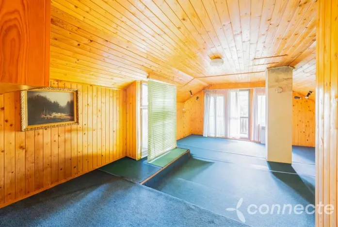 Prodej chalupy, Dolní Olešnice, 190 m2