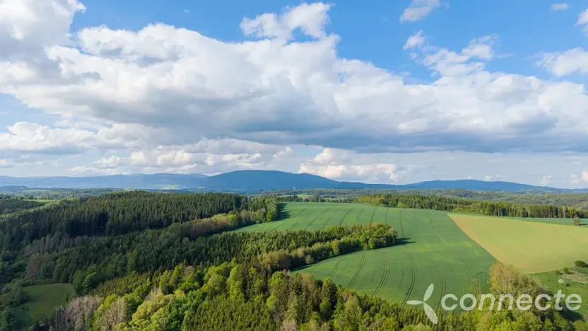 Prodej chalupy, Dolní Olešnice, 190 m2