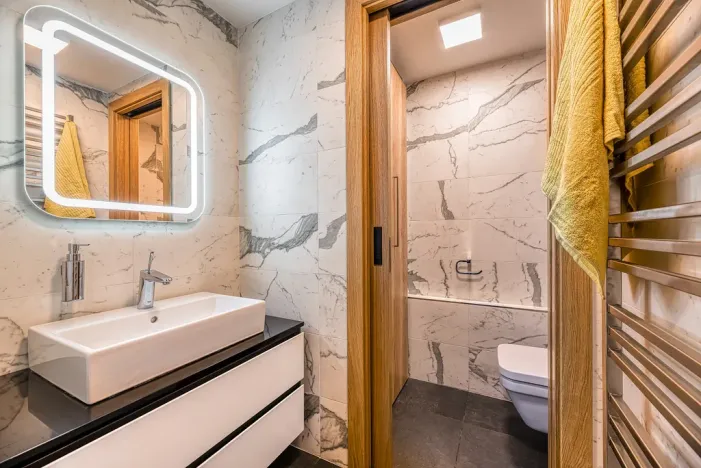 Pronájem bytu 2+kk, Praha - Vinohrady, Francouzská, 99 m2
