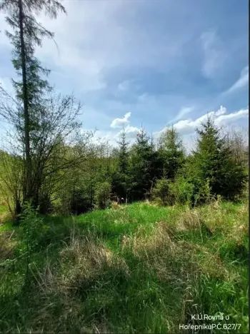 Prodej lesa, Rovná, 12639 m2