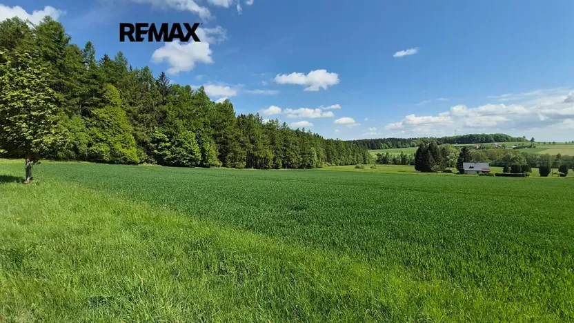 Prodej pozemku pro bydlení, Borová, 7429 m2