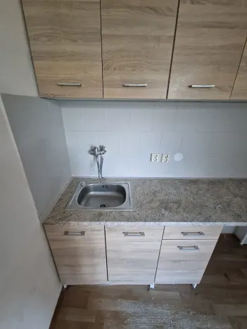 Pronájem bytu 1+1, Děčín, Podmokelská, 44 m2