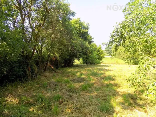 Prodej pozemku pro bydlení, Žandov, 1183 m2