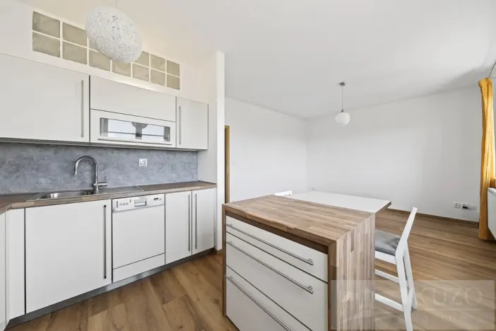 Prodej bytu 2+kk, Plzeň - Jižní Předměstí, U Radbuzy, 57 m2