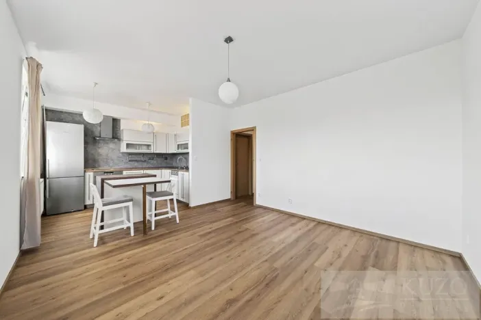 Prodej bytu 2+kk, Plzeň - Jižní Předměstí, U Radbuzy, 57 m2