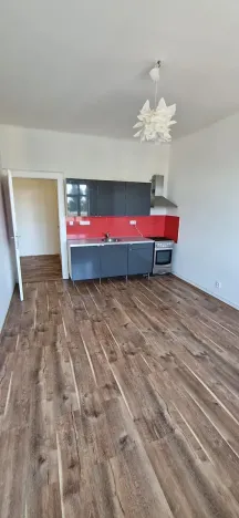 Pronájem bytu 2+kk, Praha - Žižkov, Hartigova, 56 m2