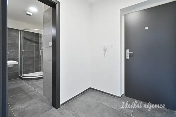 Pronájem bytu 1+kk, Brno, Křepelčí, 33 m2
