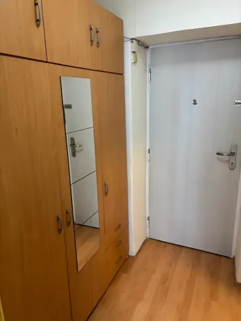 Pronájem bytu 1+1, Plzeň, Kyjevská, 29 m2