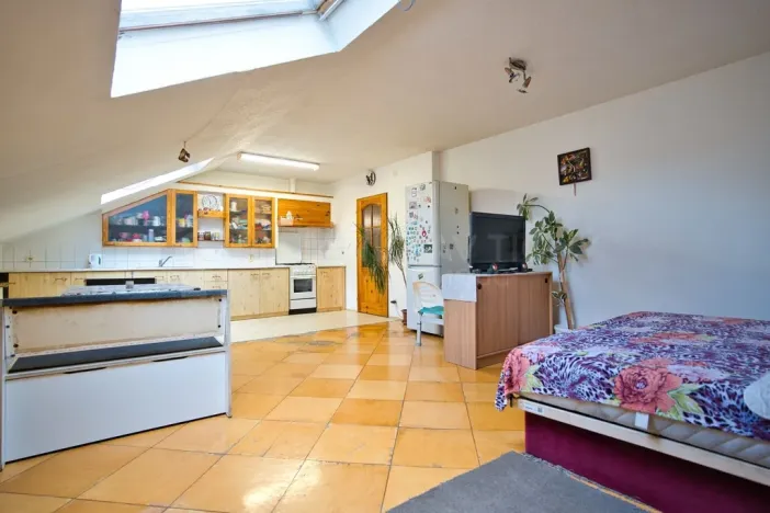Prodej vícegeneračního domu, Šternberk, Puškinova, 239 m2