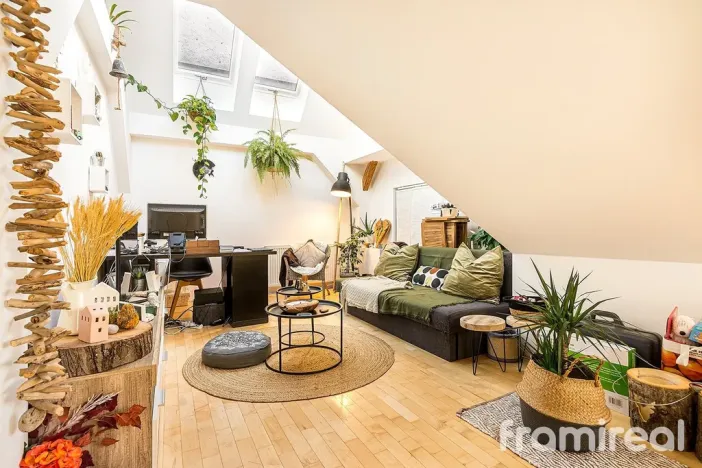 Pronájem bytu 2+kk, Brno, Čápkova, 49 m2