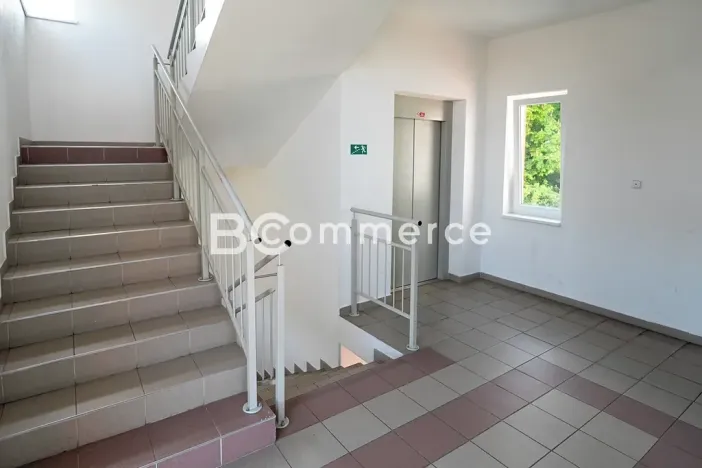 Pronájem kanceláře, Brno, 90 m2