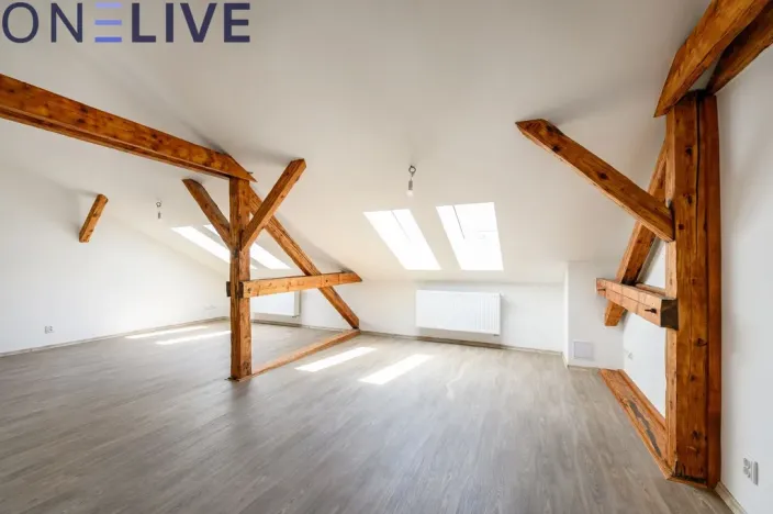 Pronájem bytu 3+1, Plzeň, Kardinála Berana, 104 m2