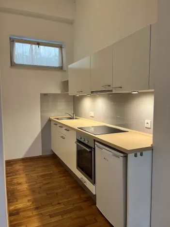 Pronájem bytu 1+kk, Praha - Karlín, Thámova, 39 m2