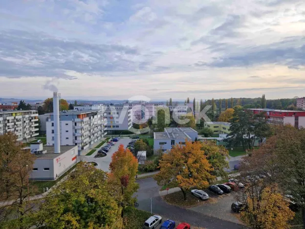 Pronájem bytu 2+1, Uherské Hradiště, Štěpnická, 46 m2