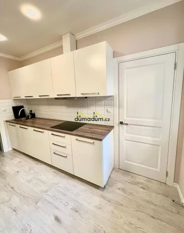 Pronájem bytu 1+1, Praha, Chlumova, 47 m2