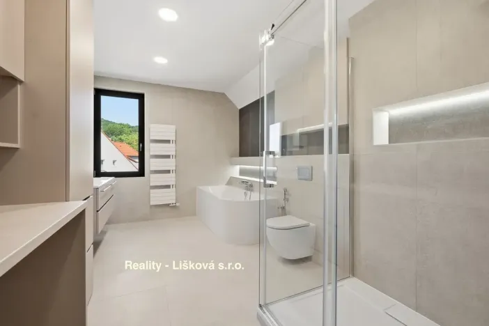 Pronájem bytu 4+kk, Ústí nad Labem - Klíše, Beethovenova, 151 m2