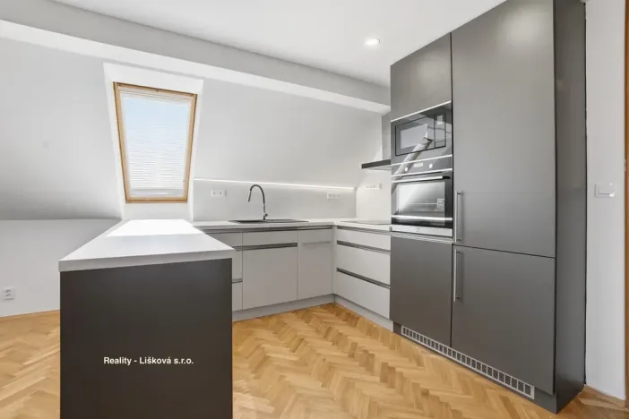 Pronájem bytu 4+kk, Ústí nad Labem - Klíše, Beethovenova, 151 m2