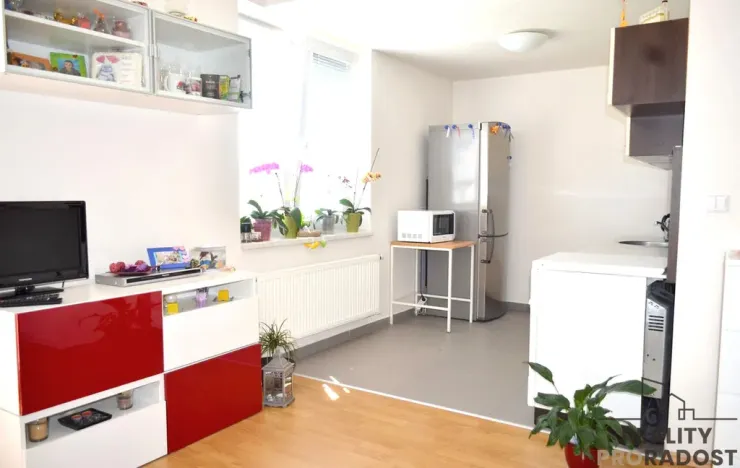 Pronájem bytu 1+kk, Brno, U Leskavy, 33 m2