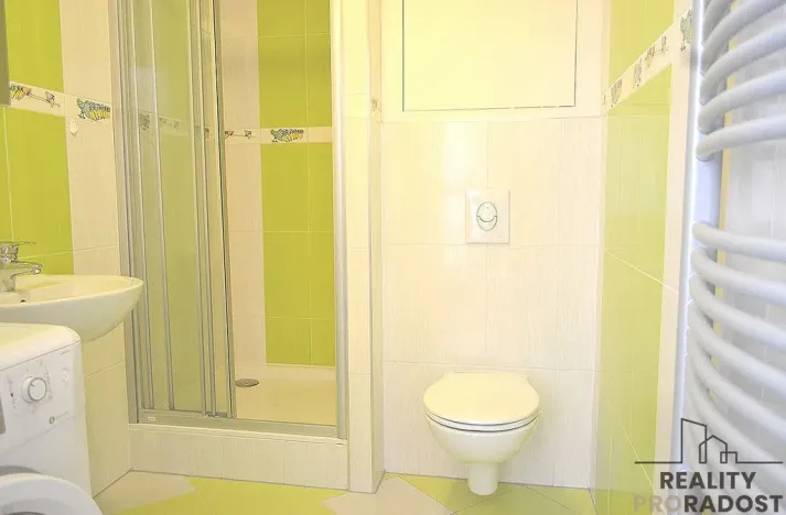Pronájem bytu 1+kk, Brno, U Leskavy, 33 m2