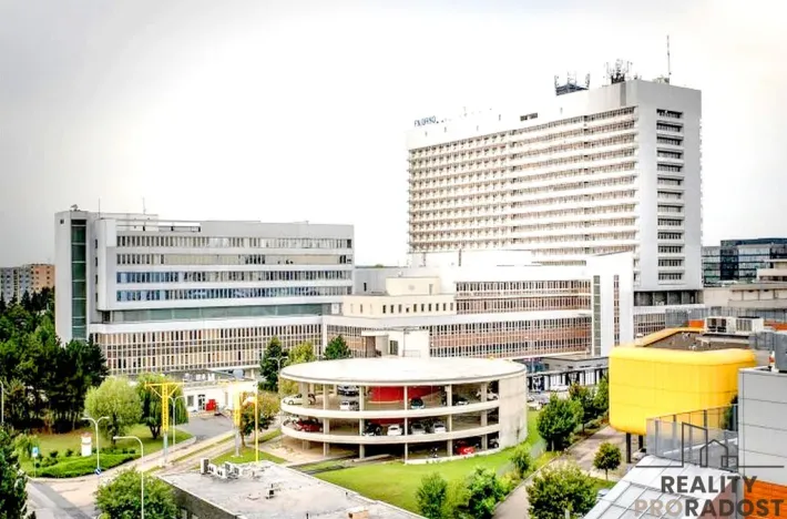 Pronájem bytu 1+kk, Brno, U Leskavy, 33 m2