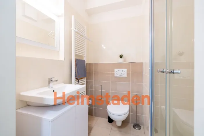Pronájem bytu 1+kk, Plzeň - Jižní Předměstí, Magisterská, 27 m2