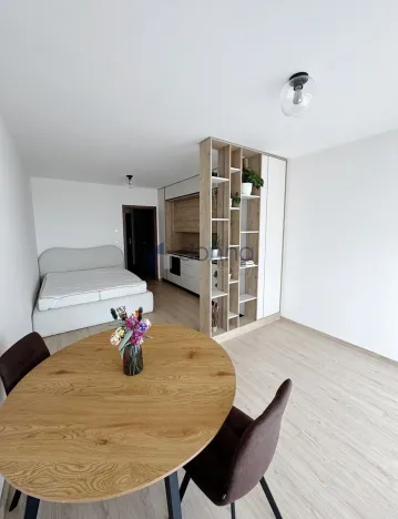 Pronájem bytu 1+kk, Praha, Jáchymovská, 33 m2