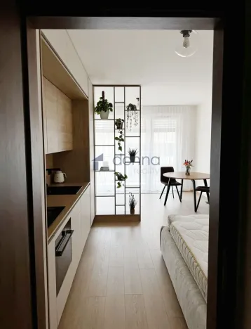 Pronájem bytu 1+kk, Praha, Jáchymovská, 33 m2